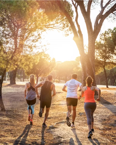 Four people are jogging on a dirt path through a sunlit park with trees. The runners, three in tank tops and one in a t-shirt, are seen from behind, moving toward the bright, golden sunlight filtering through the trees.
