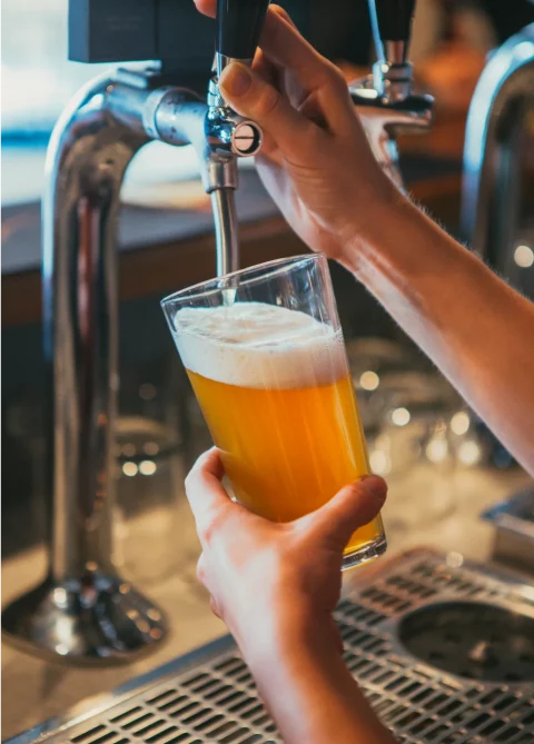 dining and entertainment